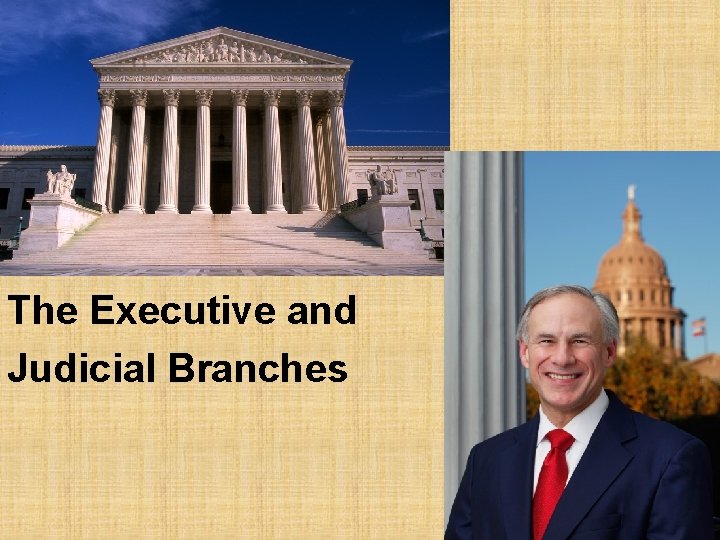 The Executive and Judicial Branches 