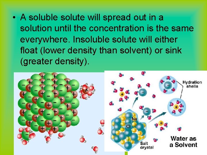  • A soluble solute will spread out in a solution until the concentration