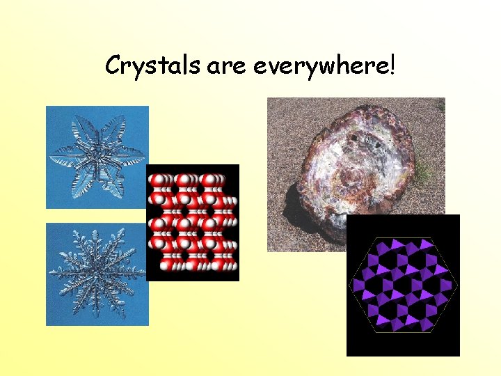 Crystals are everywhere! Crystals are everywhere!