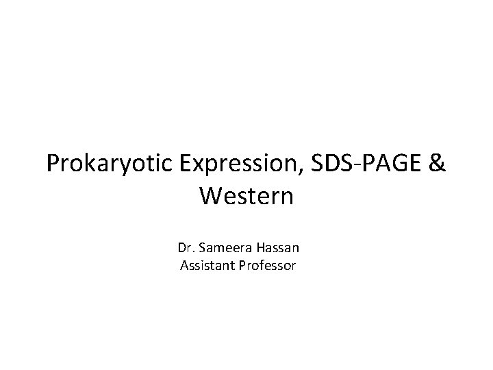 Prokaryotic Expression, SDS-PAGE & Western Dr. Sameera Hassan Assistant Professor 