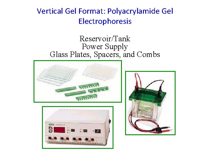 Vertical Gel Format: Polyacrylamide Gel Electrophoresis Reservoir/Tank Power Supply Glass Plates, Spacers, and Combs