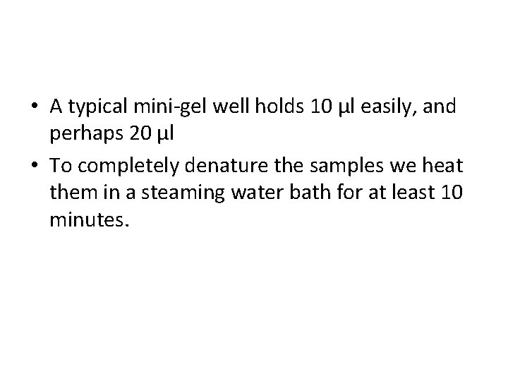  • A typical mini-gel well holds 10 µl easily, and perhaps 20 µl