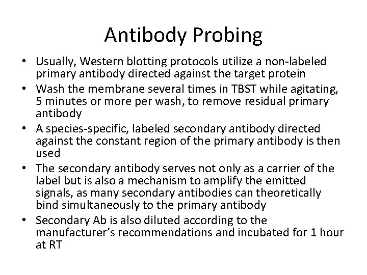 Antibody Probing • Usually, Western blotting protocols utilize a non-labeled primary antibody directed against