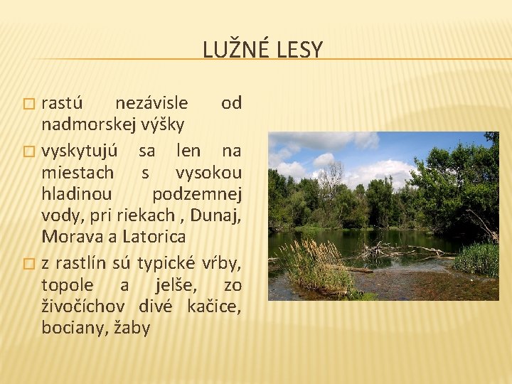 LUŽNÉ LESY rastú nezávisle od nadmorskej výšky � vyskytujú sa len na miestach s