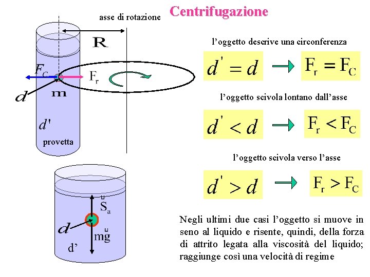 asse di rotazione Centrifugazione l’oggetto descrive una circonferenza l’oggetto scivola lontano dall’asse provetta l’oggetto