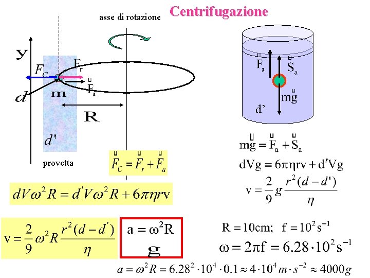 asse di rotazione Centrifugazione d’ provetta 