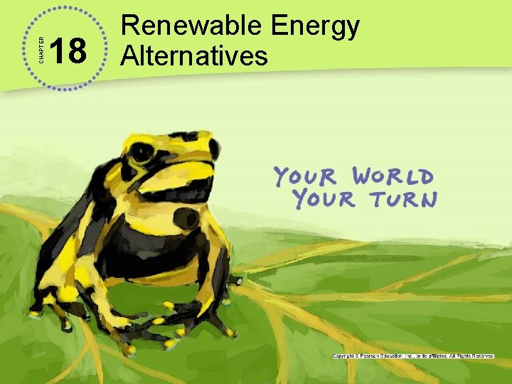 CHAPTER 18 Renewable Energy Alternatives 