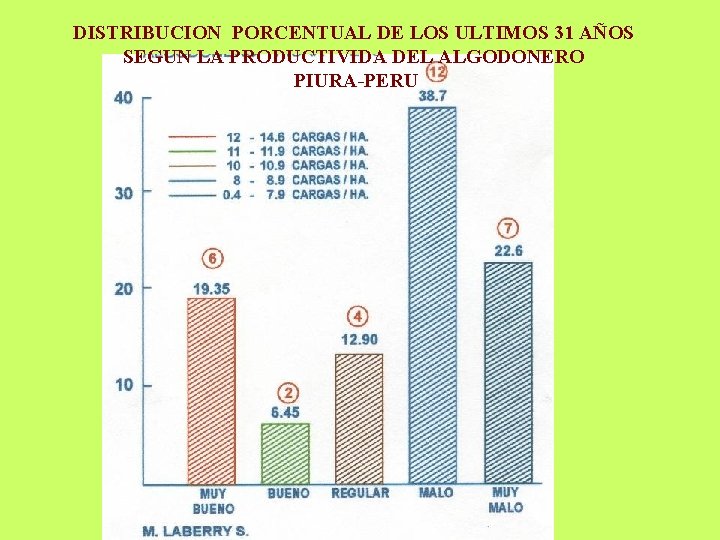 DISTRIBUCION PORCENTUAL DE LOS ULTIMOS 31 AÑOS SEGUN LA PRODUCTIVIDA DEL ALGODONERO PIURA-PERU 