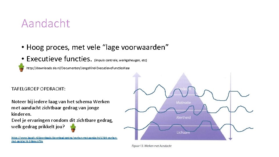 Aandacht • Hoog proces, met vele “lage voorwaarden” • Executieve functies. (impuls controle, werkgeheugen,