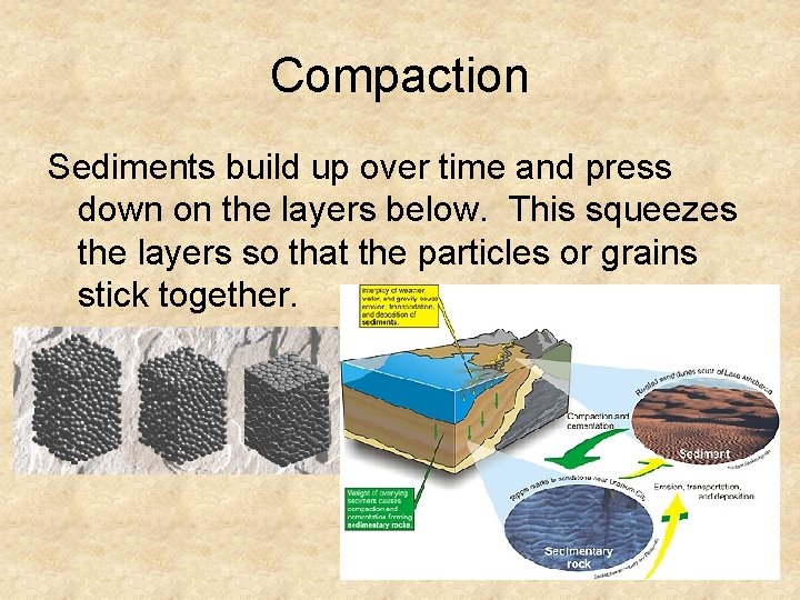 Compaction Sediments build up over time and press down on the layers below. This