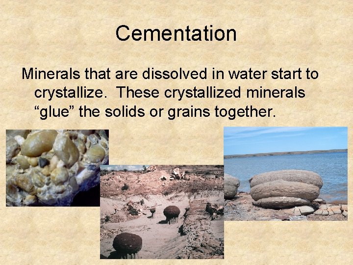 Cementation Minerals that are dissolved in water start to crystallize. These crystallized minerals “glue”