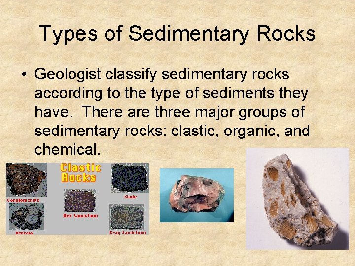 Types of Sedimentary Rocks • Geologist classify sedimentary rocks according to the type of