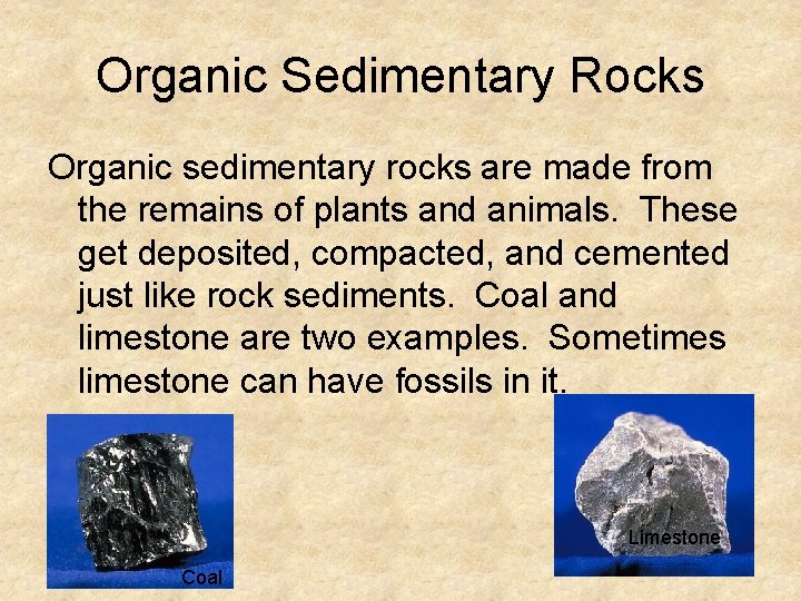 Organic Sedimentary Rocks Organic sedimentary rocks are made from the remains of plants and