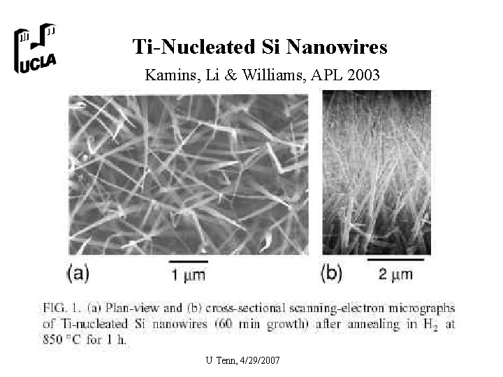 Ti-Nucleated Si Nanowires Kamins, Li & Williams, APL 2003 U Tenn, 4/29/2007 