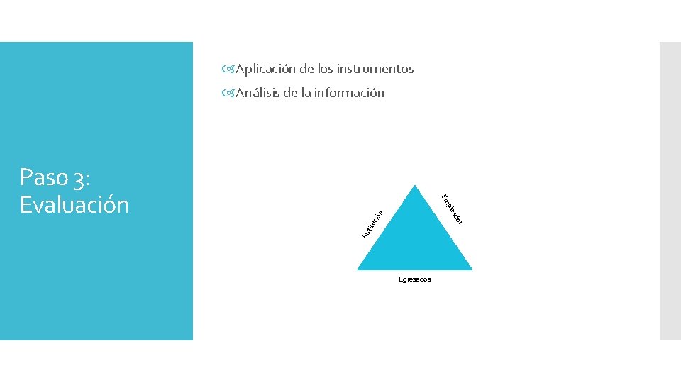 Aplicación de los instrumentos Análisis de la información Ins tit r uc o Aplicación de los instrumentos Análisis de la información Ins tit r uc o