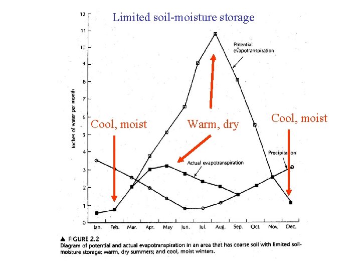 Limited soil-moisture storage Cool, moist Warm, dry Cool, moist 