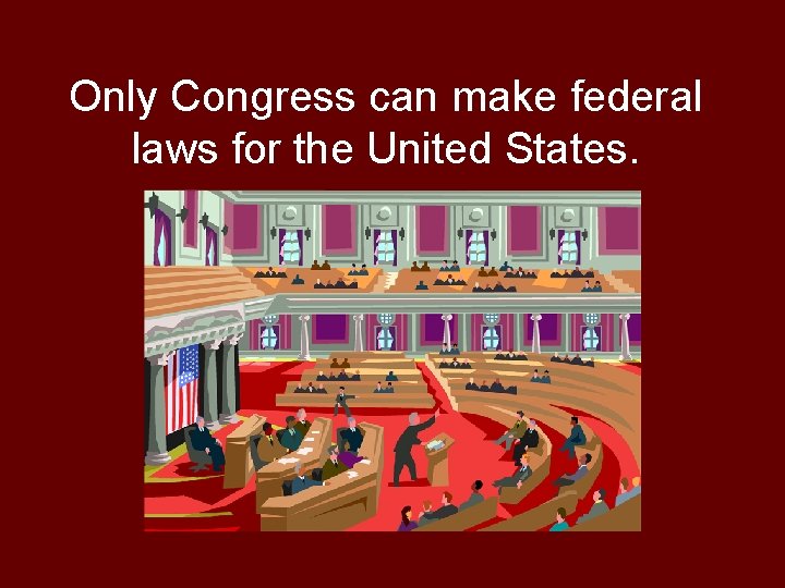 Only Congress can make federal laws for the United States. 