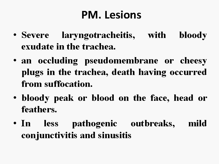 PM. Lesions • Severe laryngotracheitis, with bloody exudate in the trachea. • an occluding
