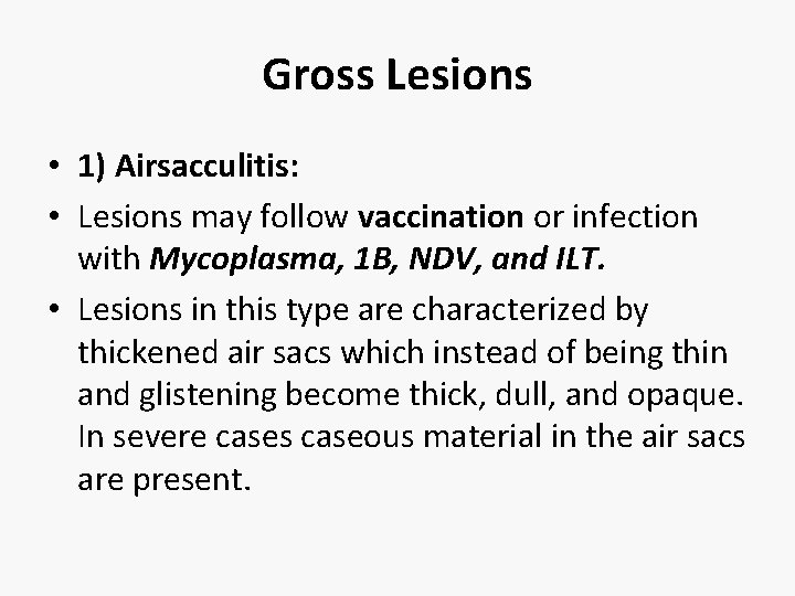 Gross Lesions • 1) Airsacculitis: • Lesions may follow vaccination or infection with Mycoplasma,