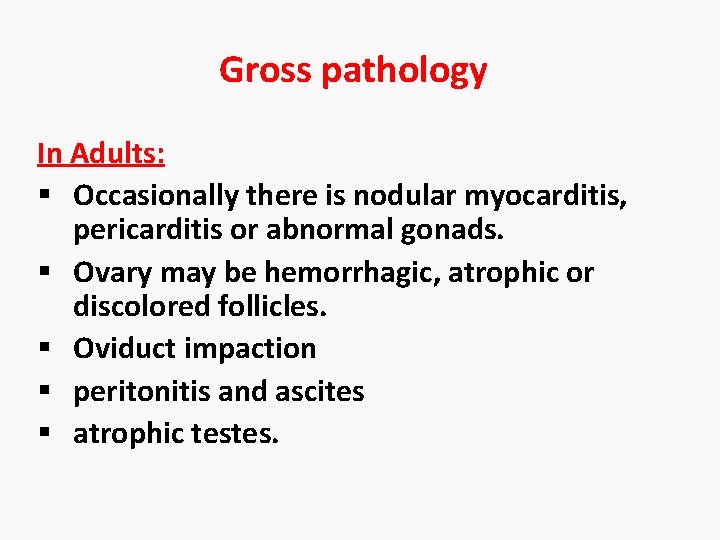 Gross pathology In Adults: § Occasionally there is nodular myocarditis, pericarditis or abnormal gonads.