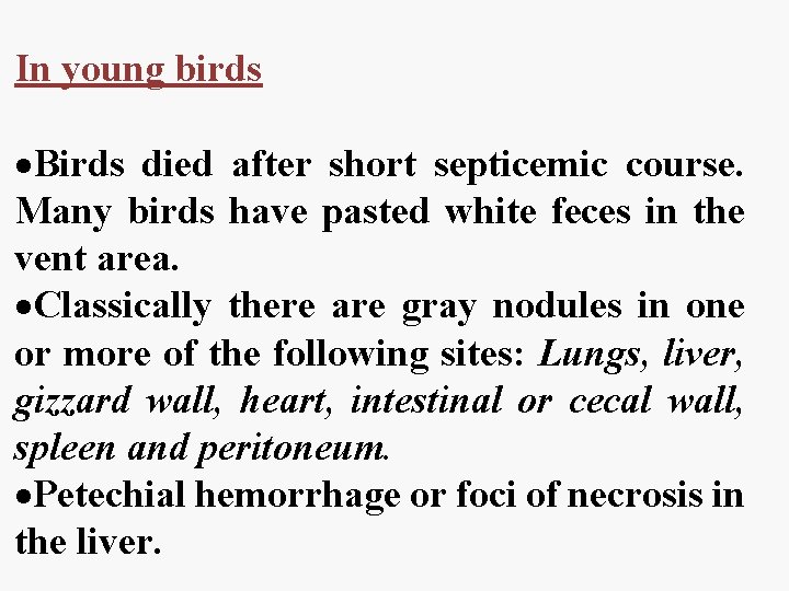 In young birds Birds died after short septicemic course. Many birds have pasted white