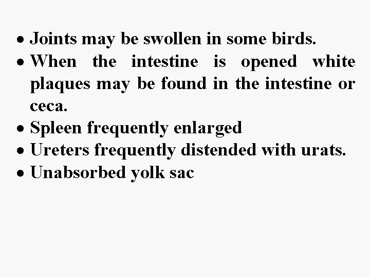  Joints may be swollen in some birds. When the intestine is opened white