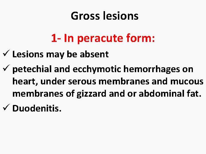 Gross lesions 1 - In peracute form: ü Lesions may be absent ü petechial