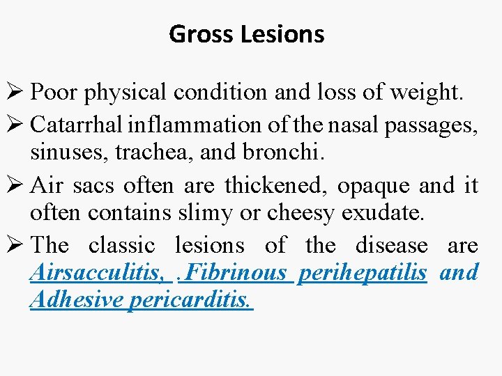 Gross Lesions Ø Poor physical condition and loss of weight. Ø Catarrhal inflammation of