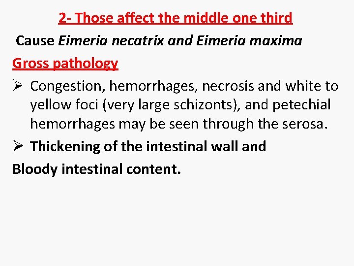 2 - Those affect the middle one third Cause Eimeria necatrix and Eimeria maxima