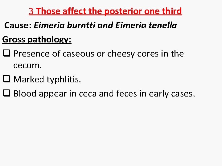 3 Those affect the posterior one third Cause: Eimeria burntti and Eimeria tenella Gross