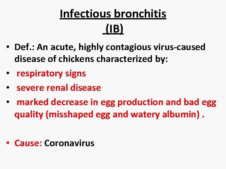 Infectious bronchitis (IB) • Def. : An acute, highly contagious virus-caused disease of chickens