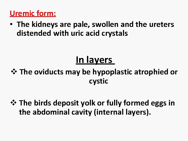 Uremic form: • The kidneys are pale, swollen and the ureters distended with uric