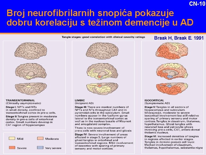 CN-10 Broj neurofibrilarnih snopića pokazuje dobru korelaciju s težinom demencije u AD Braak H,