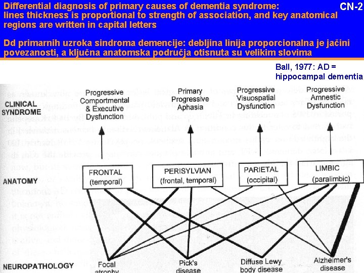 Differential diagnosis of primary causes of dementia syndrome: CN-2 lines thickness is proportional to