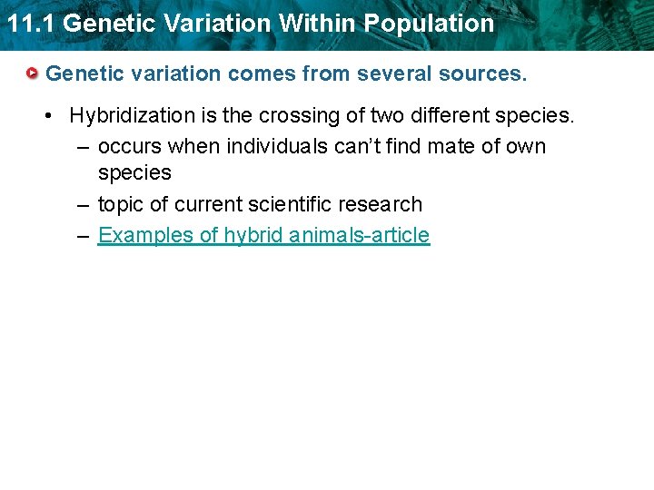 11. 1 Genetic Variation Within Population Genetic variation comes from several sources. • Hybridization