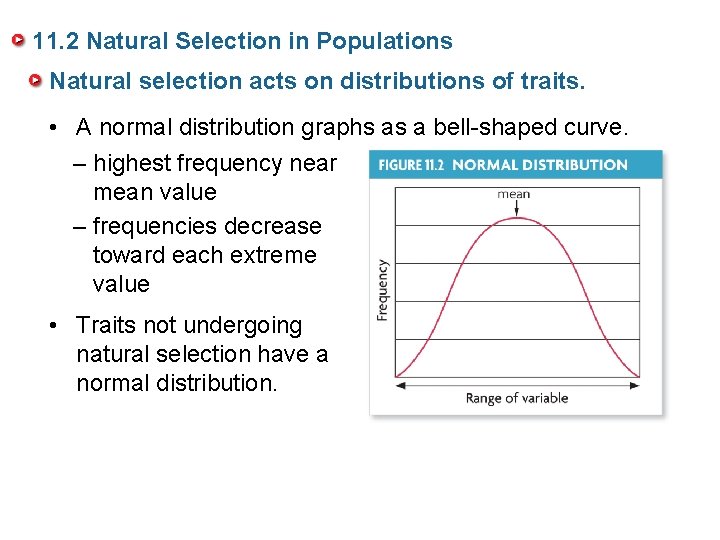 11. 2 Natural Selection in Populations Natural selection acts on distributions of traits. •