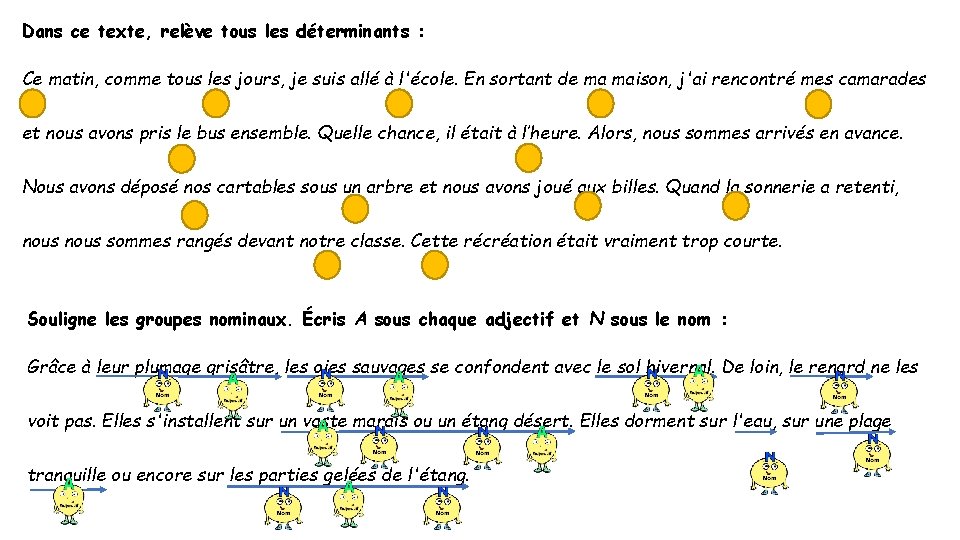 Dans ce texte, relève tous les déterminants : Ce matin, comme tous les jours,