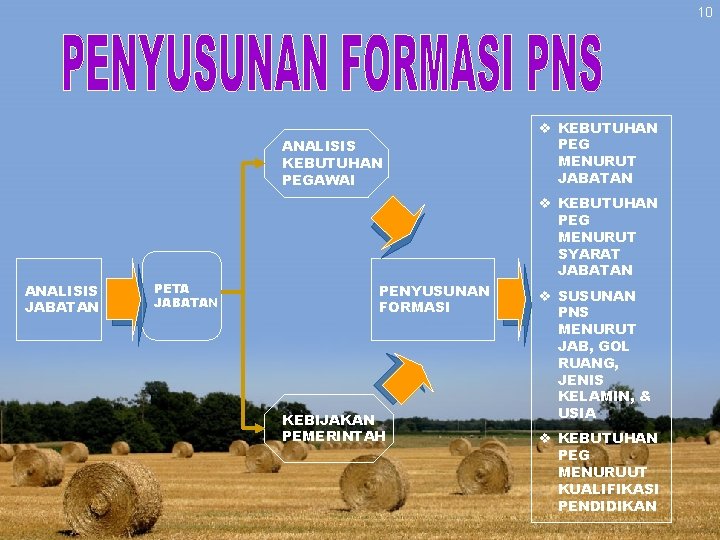 10 ANALISIS KEBUTUHAN PEGAWAI ANALISIS JABATAN PETA JABATAN v KEBUTUHAN PEG MENURUT SYARAT JABATAN 10 ANALISIS KEBUTUHAN PEGAWAI ANALISIS JABATAN PETA JABATAN v KEBUTUHAN PEG MENURUT SYARAT JABATAN