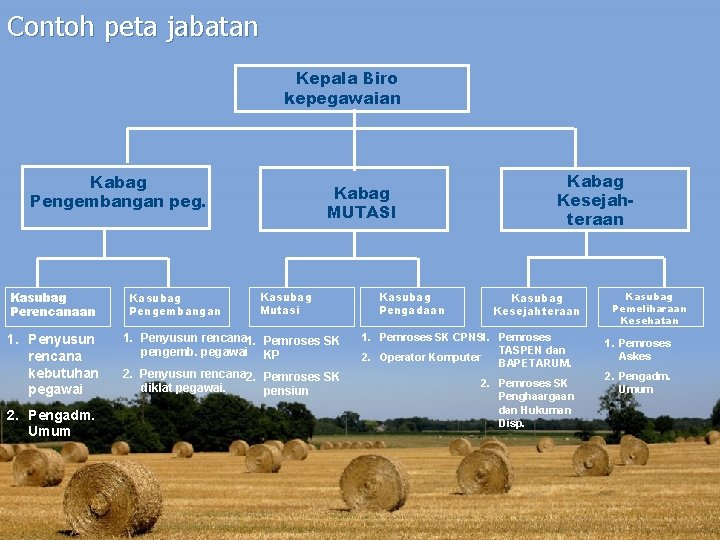 Contoh peta jabatan Kepala Biro kepegawaian Kabag Pengembangan peg. Kasubag Perencanaan 1. Penyusun rencana Contoh peta jabatan Kepala Biro kepegawaian Kabag Pengembangan peg. Kasubag Perencanaan 1. Penyusun rencana