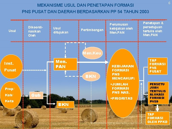 6 MEKANISME USUL DAN PENETAPAN FORMASI PNS PUSAT DAN DAERAH BERDASARKAN PP 54 TAHUN 6 MEKANISME USUL DAN PENETAPAN FORMASI PNS PUSAT DAN DAERAH BERDASARKAN PP 54 TAHUN