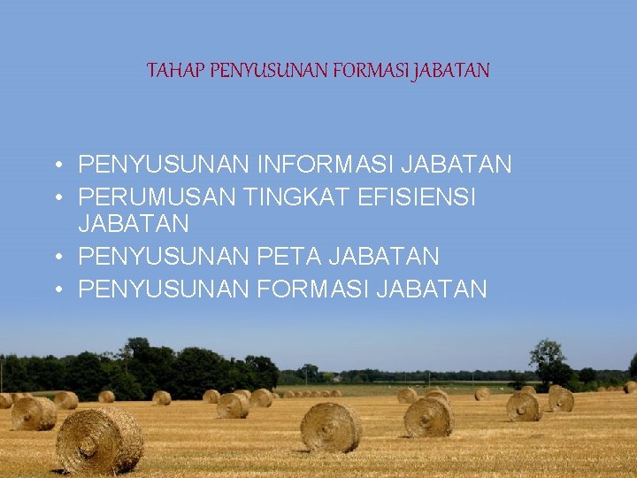 TAHAP PENYUSUNAN FORMASI JABATAN • PENYUSUNAN INFORMASI JABATAN • PERUMUSAN TINGKAT EFISIENSI JABATAN • TAHAP PENYUSUNAN FORMASI JABATAN • PENYUSUNAN INFORMASI JABATAN • PERUMUSAN TINGKAT EFISIENSI JABATAN •