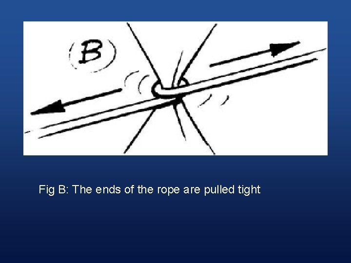 Fig B: The ends of the rope are pulled tight 