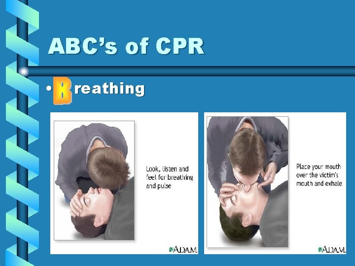 ABC’s of CPR • reathing 