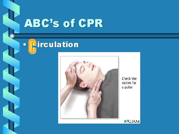 ABC’s of CPR • irculation 