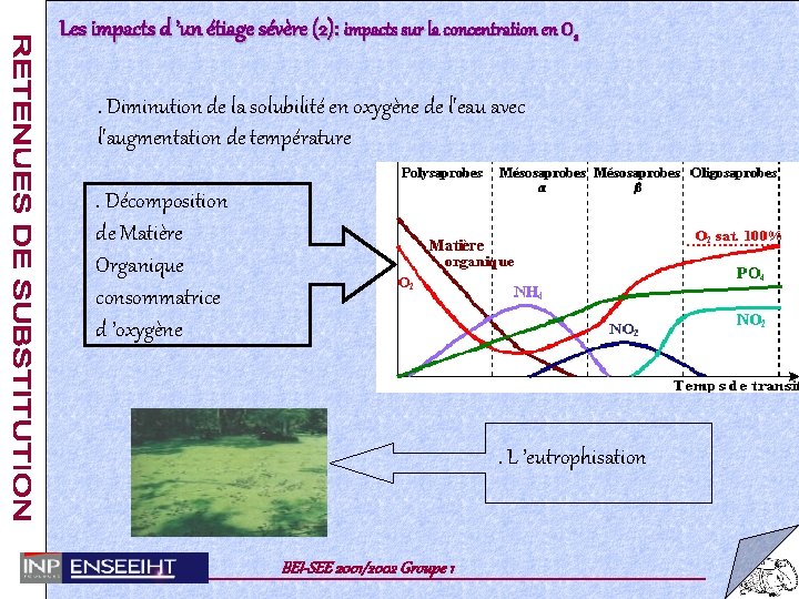 Les impacts d ’un étiage sévère (2): impacts sur la concentration en O 2