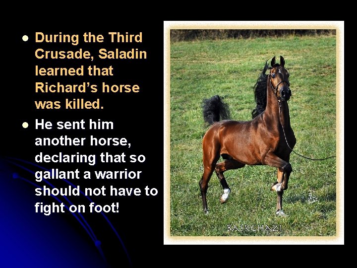 l l During the Third Crusade, Saladin learned that Richard’s horse was killed. He l l During the Third Crusade, Saladin learned that Richard’s horse was killed. He