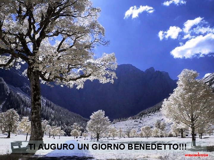 TI AUGURO UN GIORNO BENEDETTO!!! 