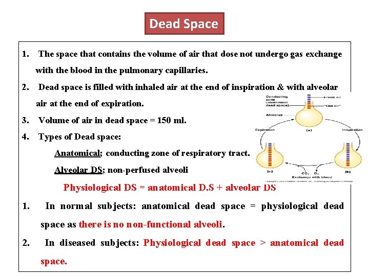 Dead Space 1. The space that contains the volume of air that dose not Dead Space 1. The space that contains the volume of air that dose not