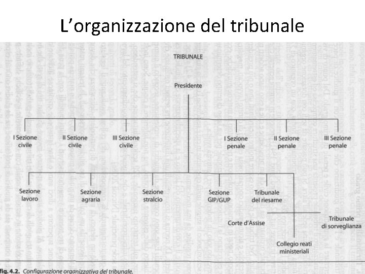 L’organizzazione del tribunale 