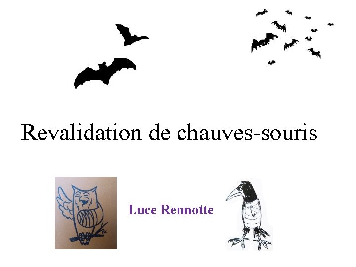 Revalidation de chauves-souris Luce Rennotte 